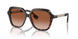 300213 - Brown - Brown Gradient