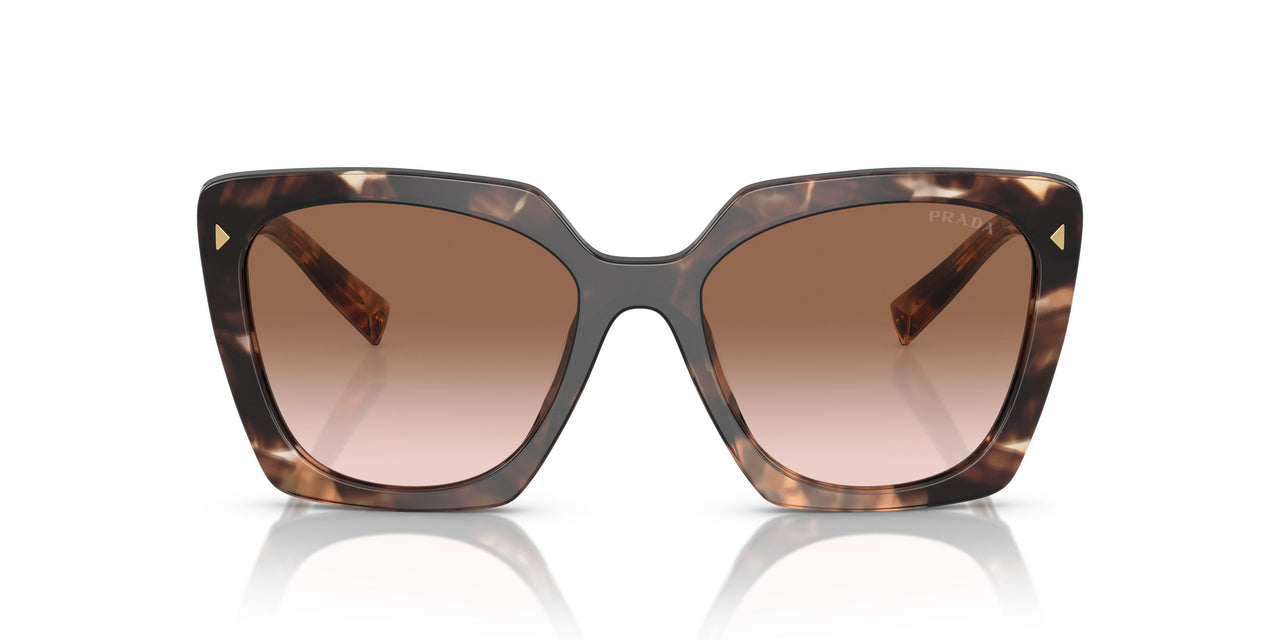 07R0A6 - Tortoise - Brown Gradient