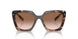 07R0A6 - Tortoise - Brown Gradient