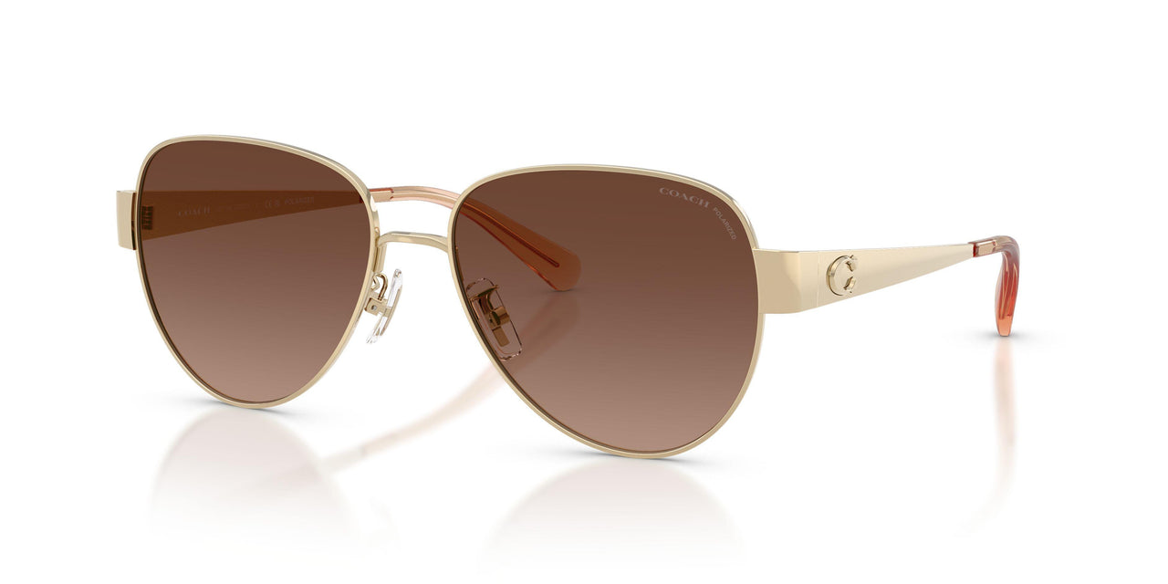 900587 - Gold - Brown Gradient Polar