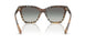 420211 - Brown - Grey Gradient