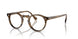 1689 - Brown