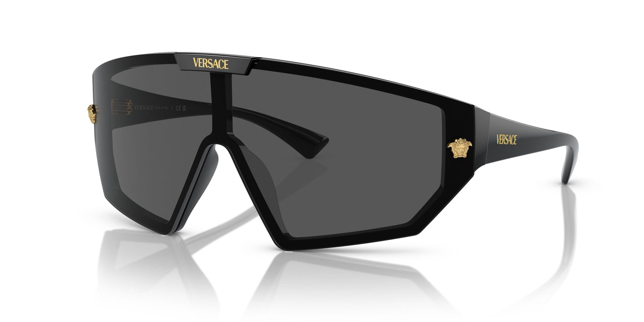 A*I様 Versace ラウンドフレーム サングラス Versace 4461 Sunglasses