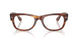 2144 - Brown - Clear