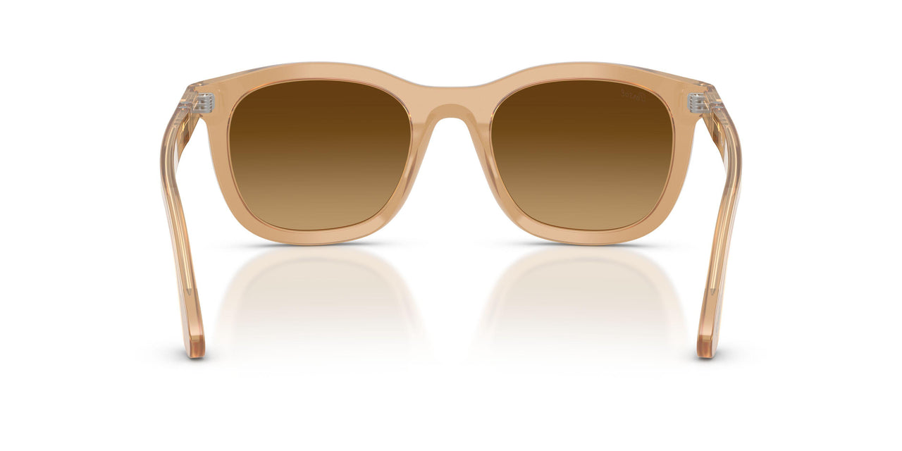 116985 - Brown - Light Brown Gradient Dark Brow