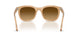 116985 - Brown - Light Brown Gradient Dark Brow