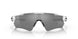920851 - Matte Black - Prizm Black Polarized
