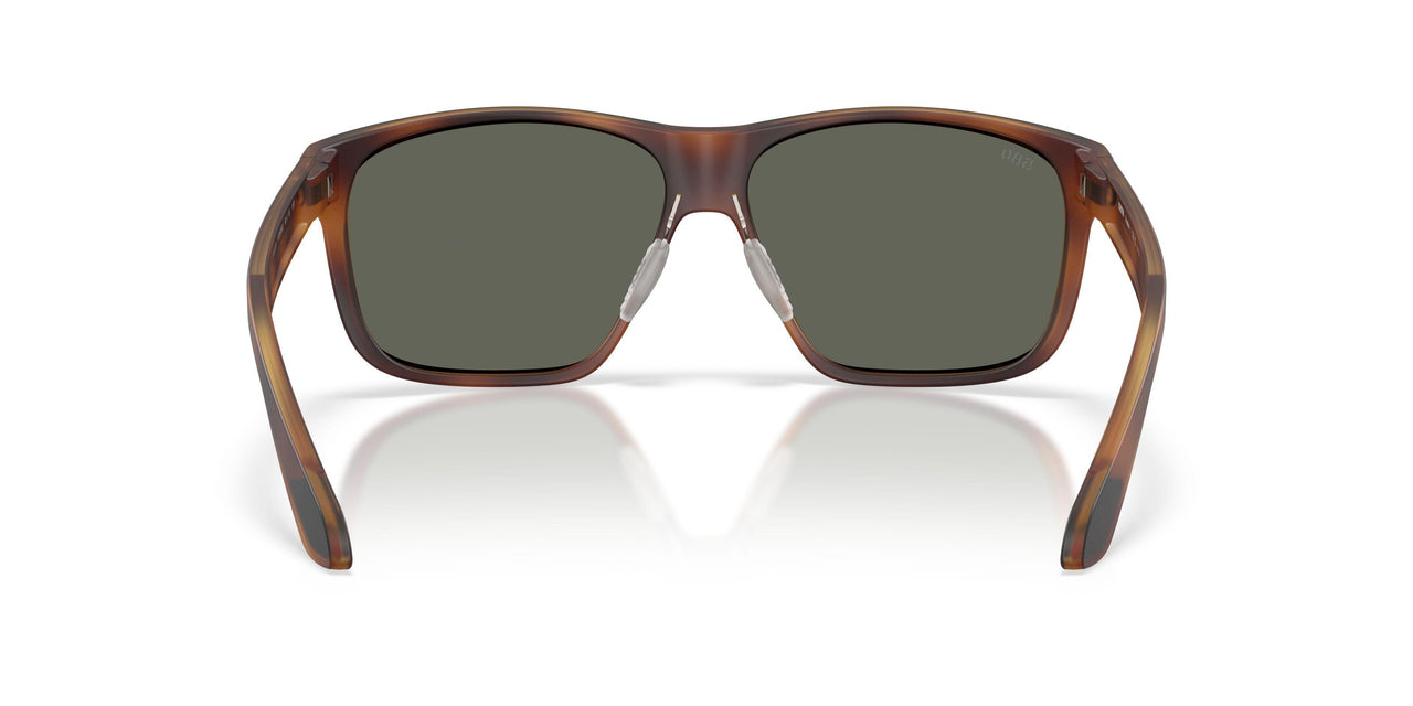 912805 - Tortoise - Gray