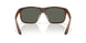 912805 - Tortoise - Gray