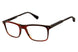 Ted Baker TLM009 Eyeglasses