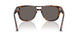 24/B1 - Tortoise - Dark Grey