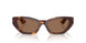 100773 - Tortoise - Brown