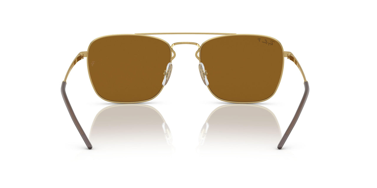 925083 - Gold - Dark Brown Polar