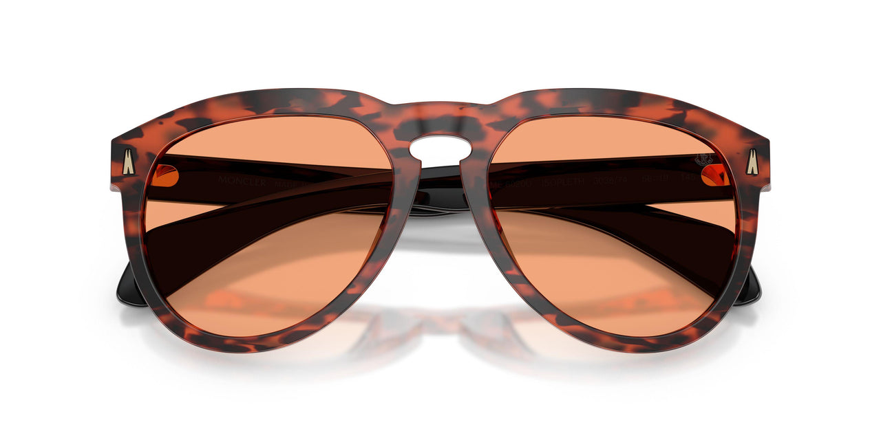 303674 - Tortoise - Solid Orange