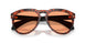 303674 - Tortoise - Solid Orange