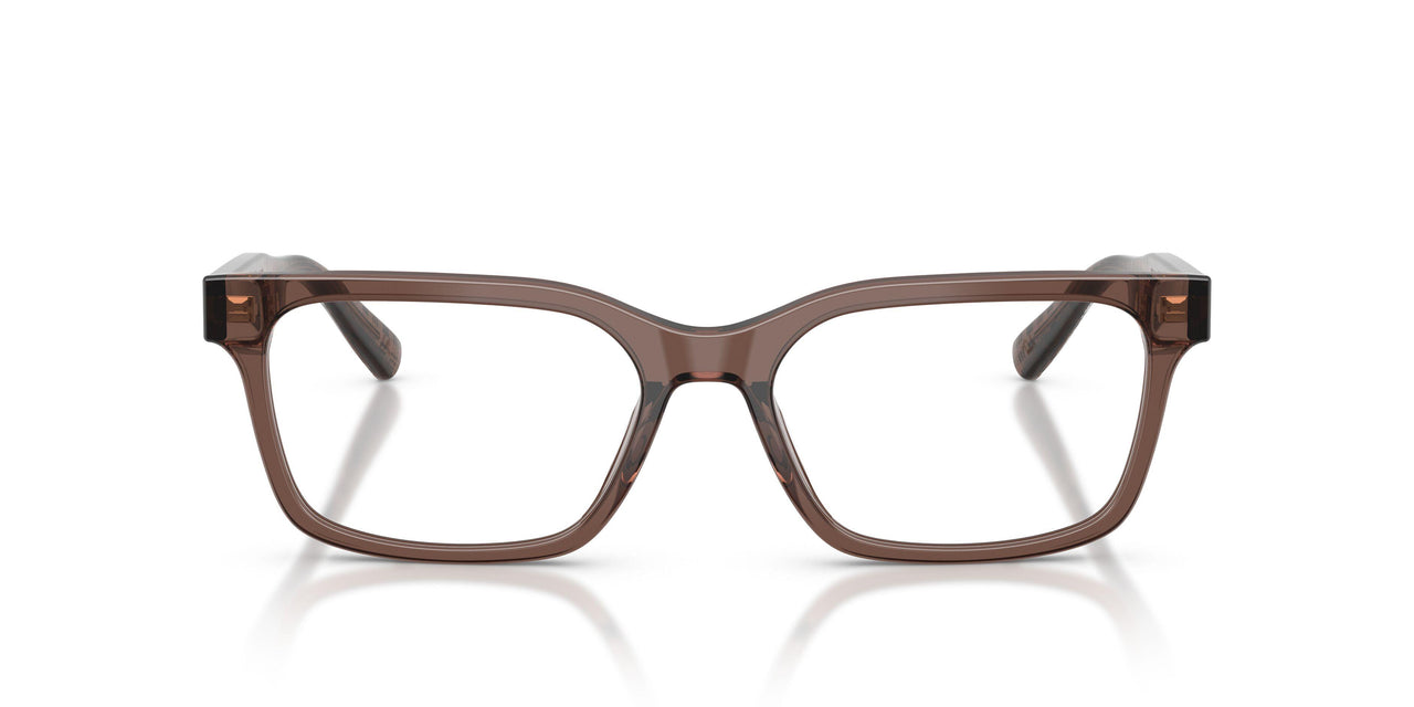 6176 - Brown
