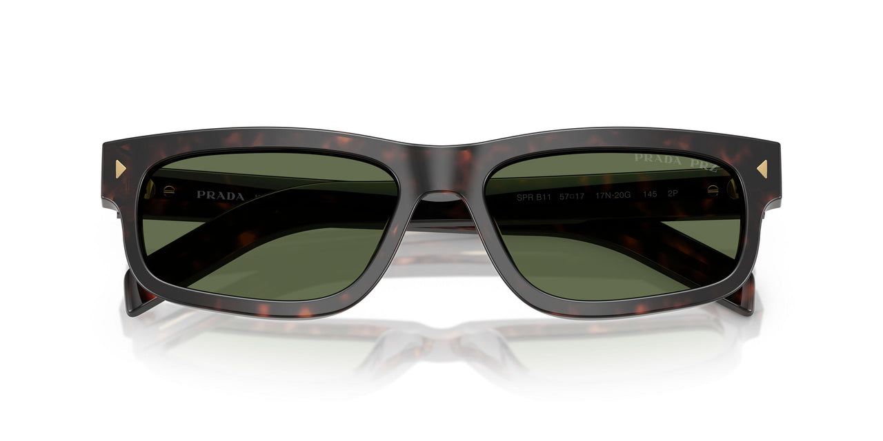 17N20G - Tortoise - Polar Green