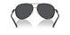 100187 - Tortoise - Dark Grey