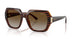 2571T5 - Brown - Gradient Brown Polar