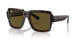 135973 - Tortoise - Dark Brown
