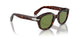 24/4E - Tortoise - Green