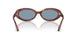 954/56 - Brown - Blue