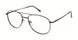 New Globe M573 Eyeglasses