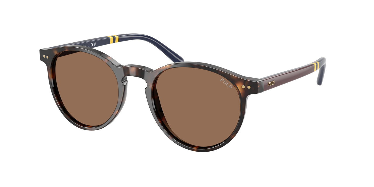 Polo 4236 Sunglasses