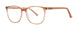 MODERN PLASTICS II INSTANT Eyeglasses