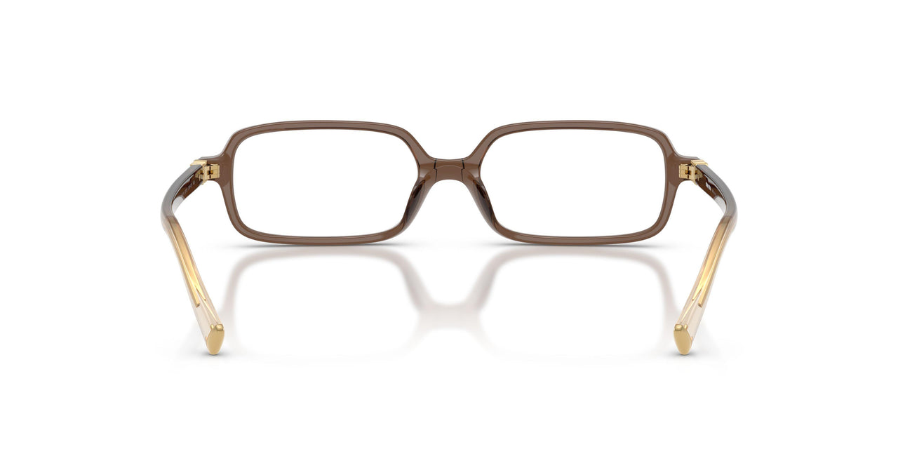 23H1O1 - Brown
