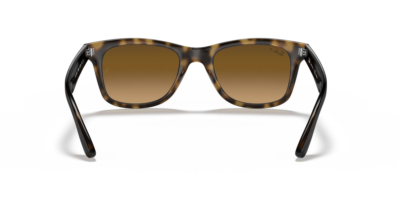 710/M2 - Havana - Gradient Brown Polar