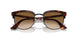 112751 - Havana - Clear Gradient Brown