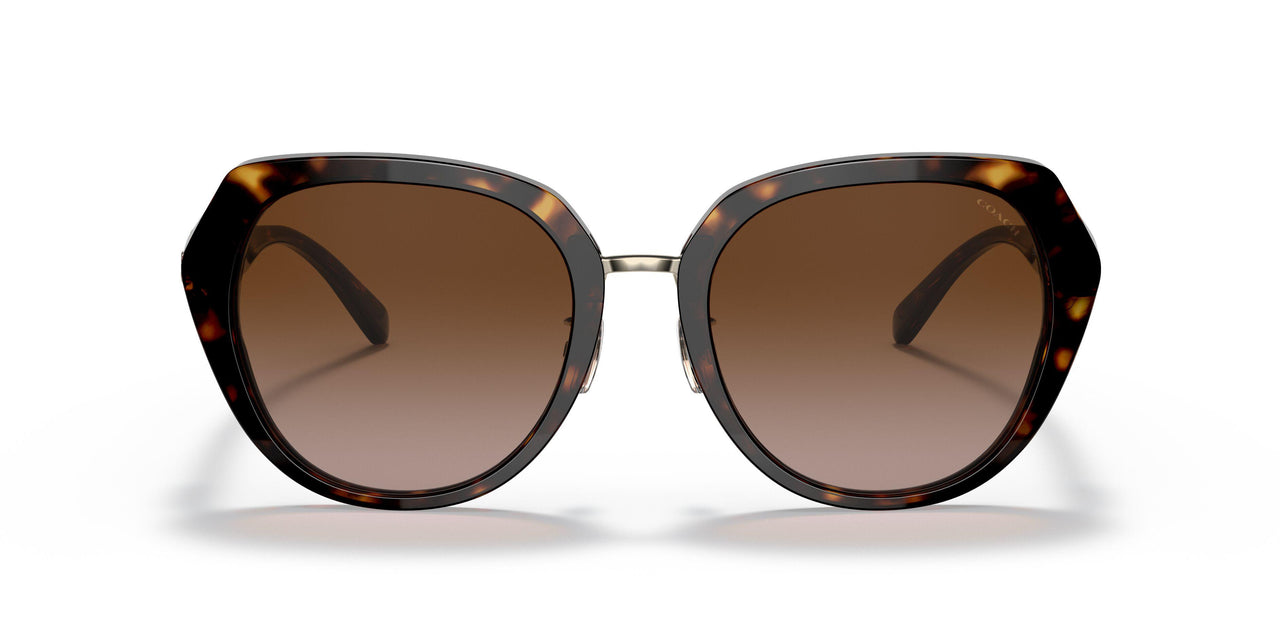 512013 - Havana - Brown Gradient