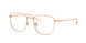 Ray-Ban 8776D Eyeglasses