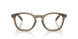 18T1O1 - Brown