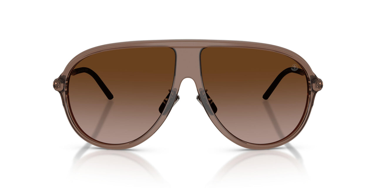 301813 - Brown - Gradient Brown