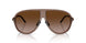 301813 - Brown - Gradient Brown