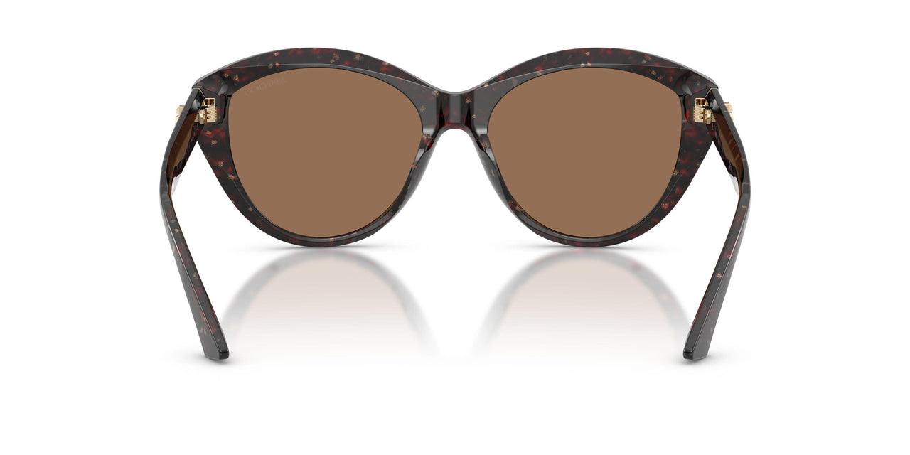 512573 - Brown - Dark Brown