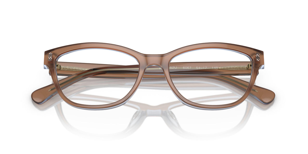 6067 - Brown