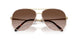 336013 - Gold - Brown Gradient