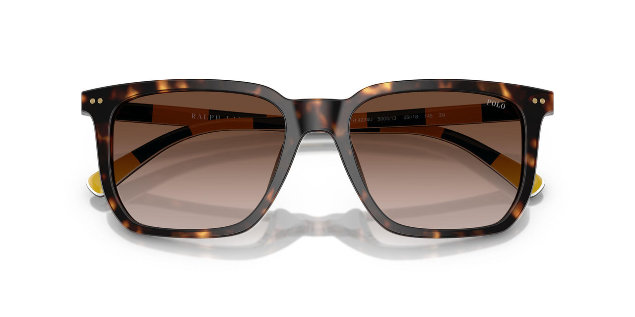 500313 - Tortoise - Gradient Dark Brown