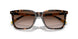 500313 - Tortoise - Gradient Dark Brown