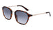 Dragon DR FALLON LL Sunglasses