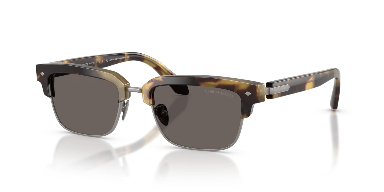 6301B1 - Tortoise - Dark Grey