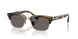 6301B1 - Tortoise - Dark Grey