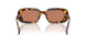 14L90Q - Tortoise - Brown