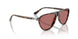 1251AK - Brown - Polarized Wine