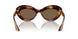 100773 - Tortoise - Brown