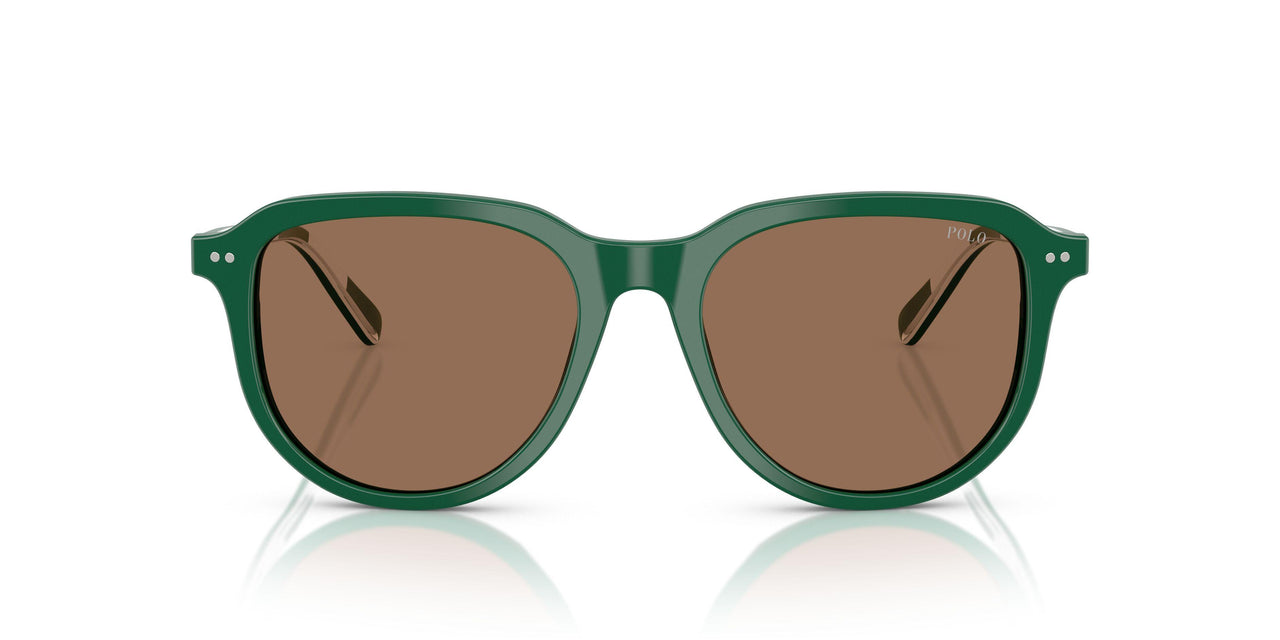 542173 - Green - Dark Brown