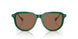 542173 - Green - Dark Brown